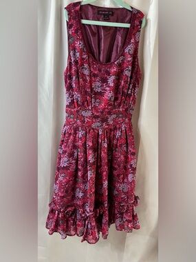 Forever 21 Burgundy and Pink Floral Sleeveless Fit-and-Flare Dress